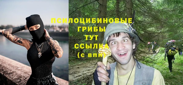 сатива Семилуки