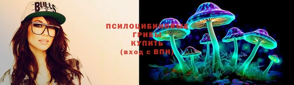 мдпв Семёнов