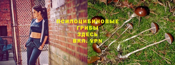 сатива Семилуки