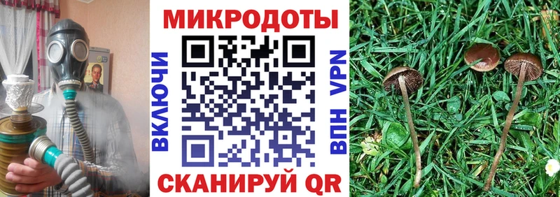 Галлюциногенные грибы прущие грибы  закладка  кракен маркетплейс  Торопец 
