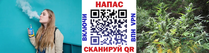 Бошки Шишки тримм гидра маркетплейс Торопец
